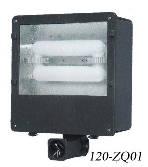 Large Induction "Shoebox" Light For Multiple Applications-120 Watt (120-ZQ01)