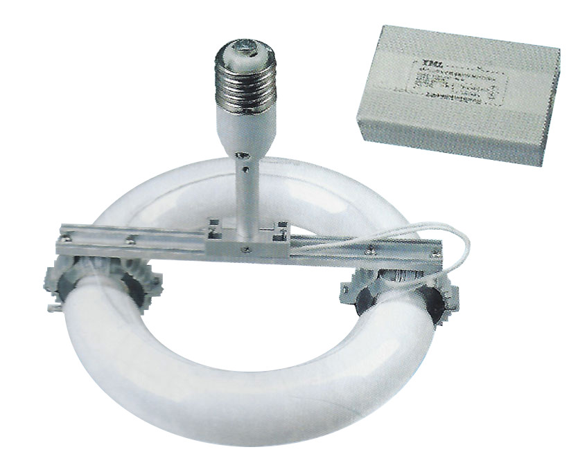 Mogul E39 Retro Fit Round Induction Bulbs with Transformers (200RDE39)