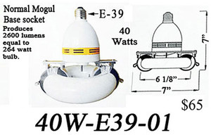 Induction Mogul Based E39 "Round" Light Bulb