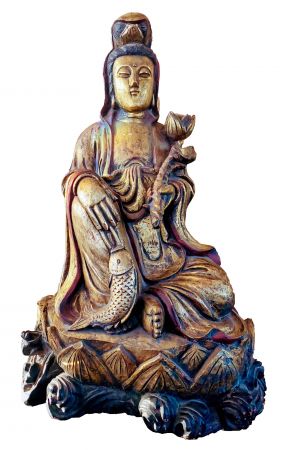 New Product Picture 25