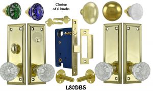 Contemporary Solid Brass Double Door Entry Set (L80DBS)