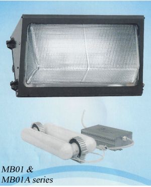 120w Large Induction Wall Mount Pack Light (120-MB01)